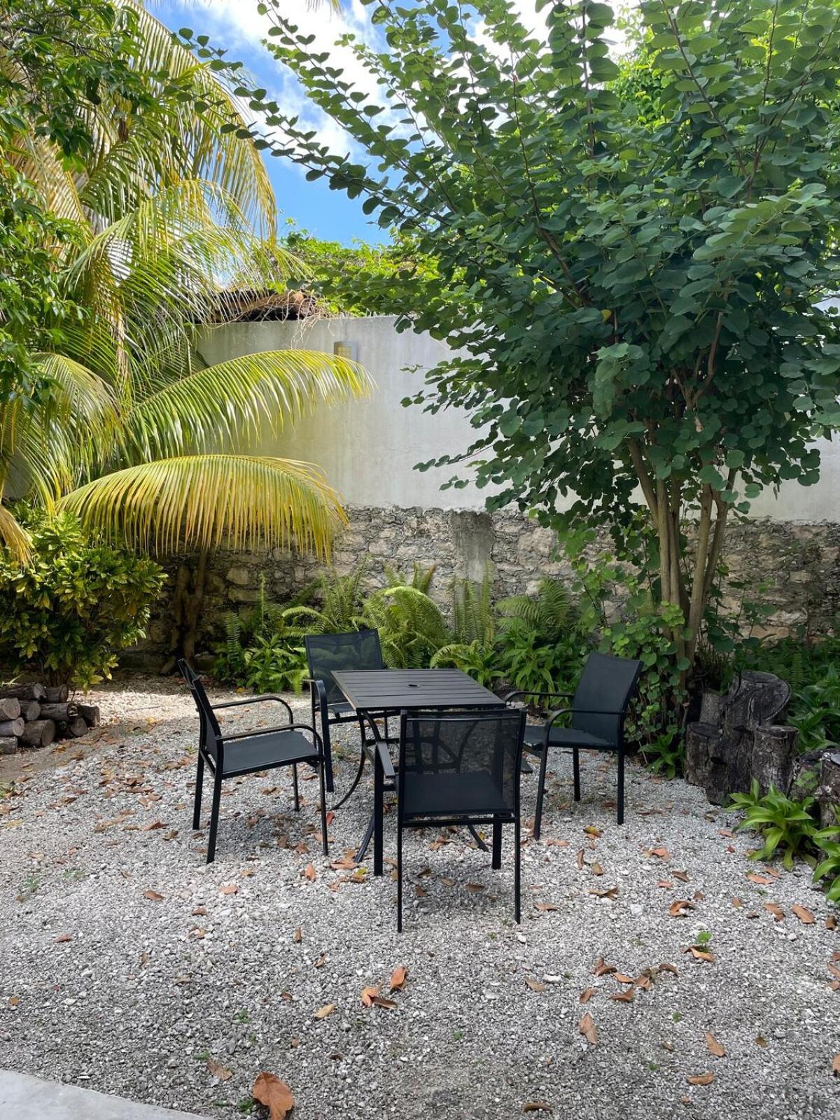 Coco Cozy Apartment Centric And Private Cozumel Exterior foto